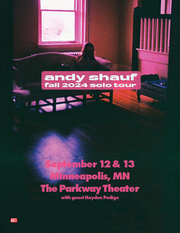 Andy Shauf show poster