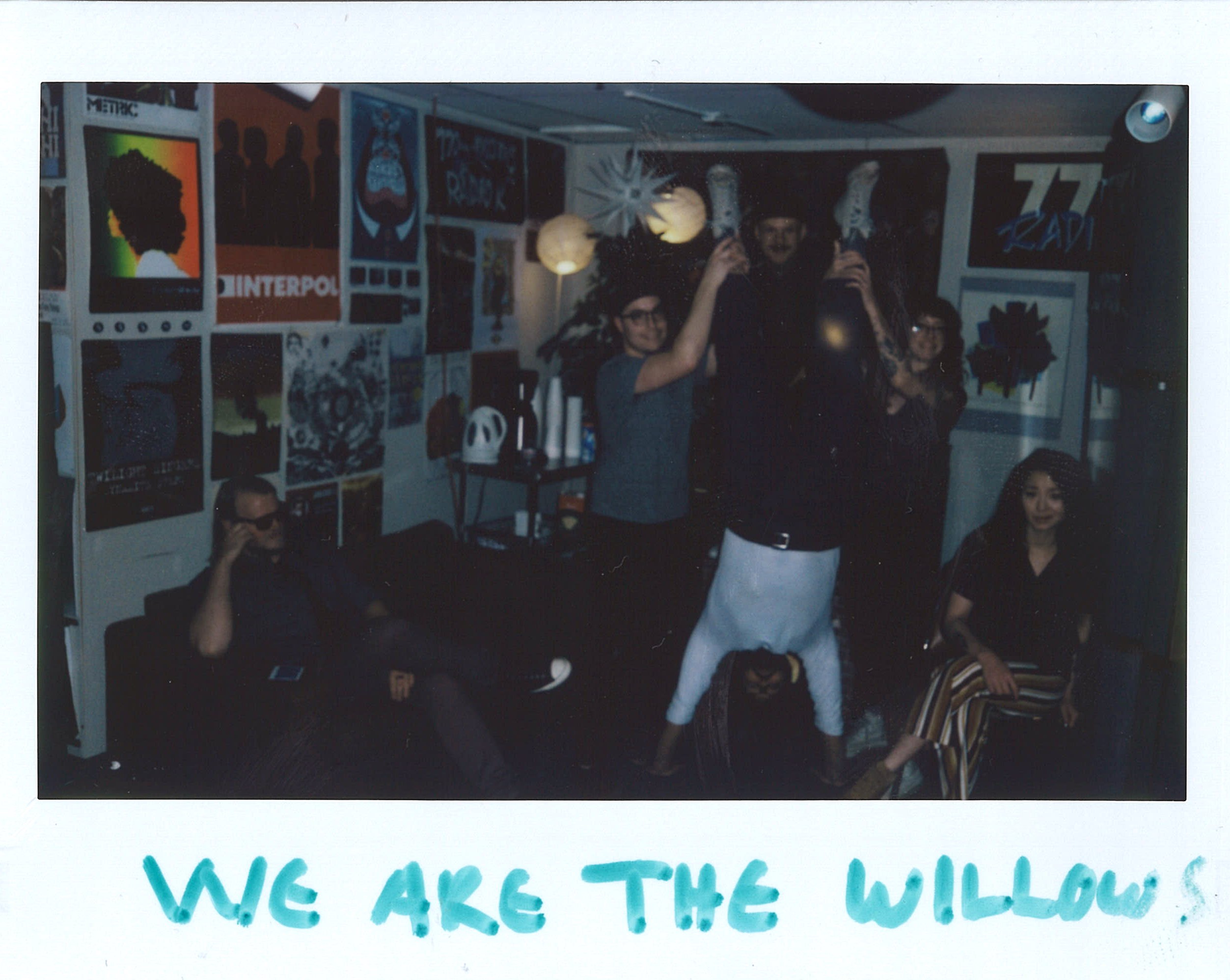 We Are The Willows